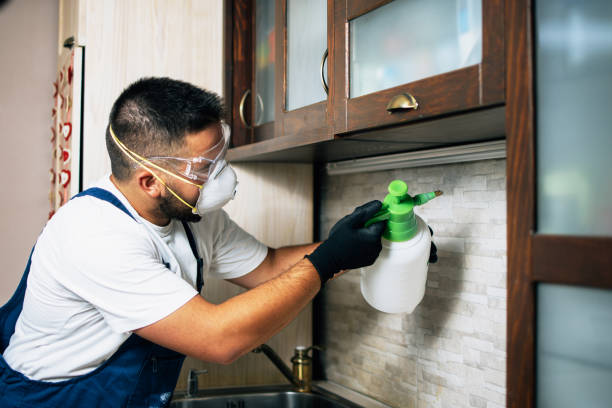 Best Pest Control Near Me in Royal Palm Estates, FL