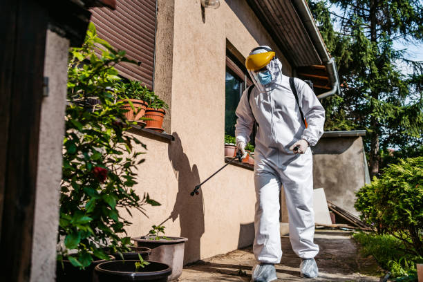 Best Wildlife Control Services  in Royal Palm Estates, FL