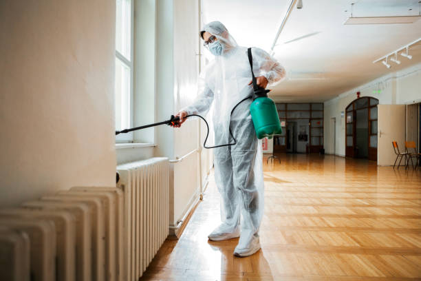 Best Best Pest Control Companies  in Royal Palm Estates, FL
