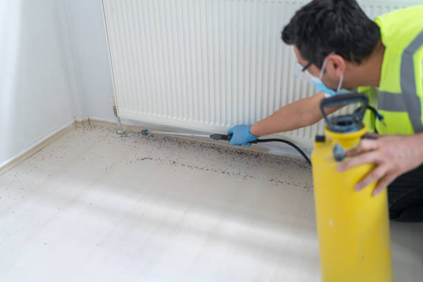 Best Rat Extermination Near Me  in Royal Palm Estates, FL